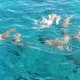 24- Requins devorant nos restes de bonite derriere Imagine 